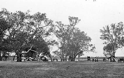 Sheaffe papers. Photograph of Survey Camp. View of camp in general with tents and buggies. Mr Sheaffe is on the right of the photo with two women